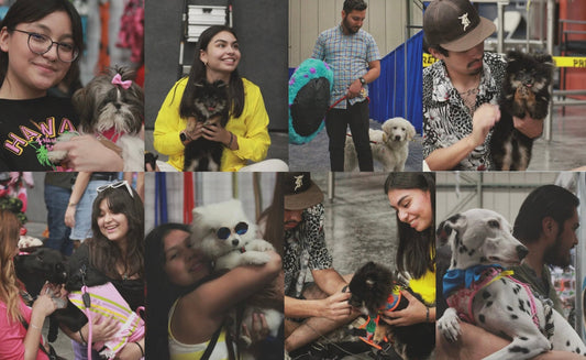 🐾 Knog en Expo Planeta Mascotas 2023: Un Fin de Semana Inolvidable