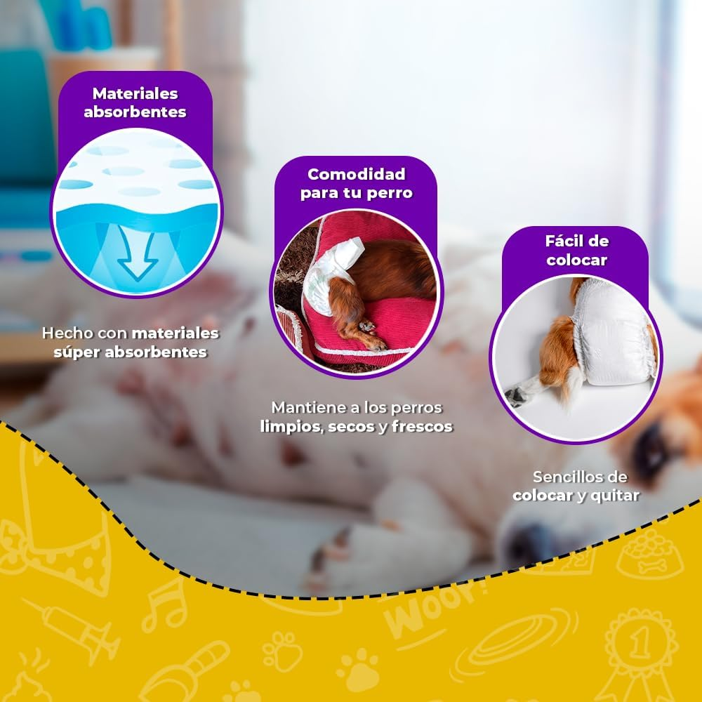 Fancy Pets Pañales Chicos para Perro – 12 Piezas, Ultra Absorbentes y Ajustables