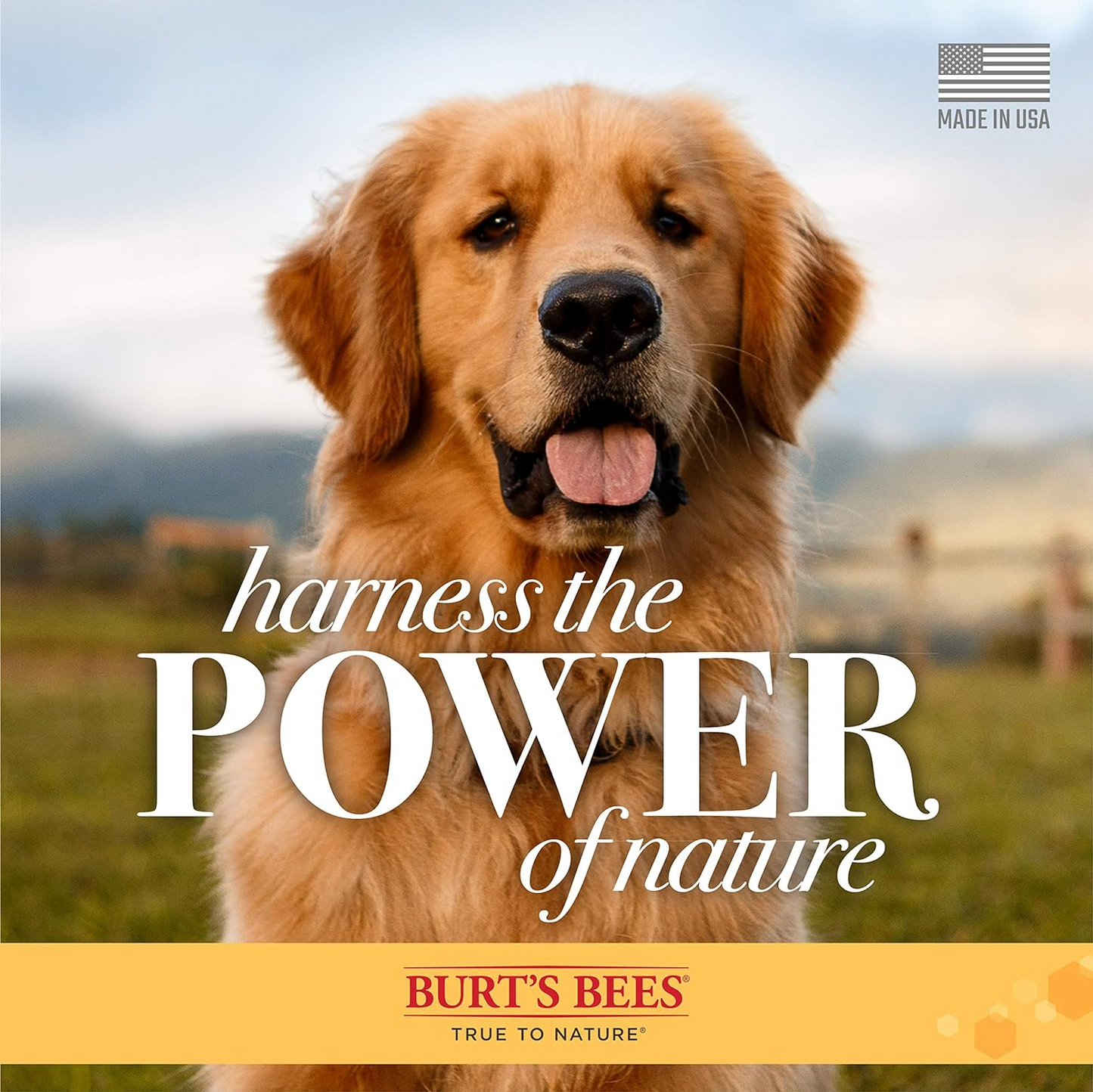 Shampoo Desodorizante Burt’s Bees para Perro con Manzana y Romero (473ml)
