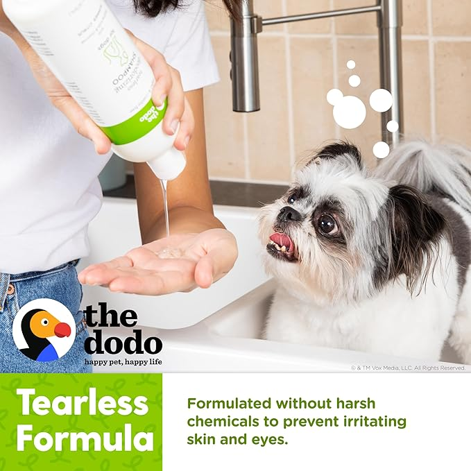 Shampoo Desodorizante Sin Lágrimas The Dodo Summer Citrus para Perros (473ml)