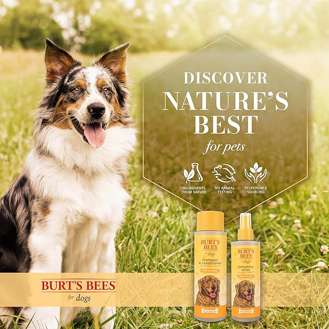 Spray Refrescante Burt’s Bees para Perro Milk & Honey (236ml)