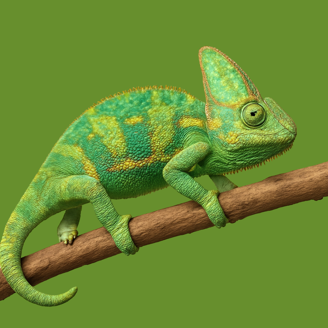 Reptiles