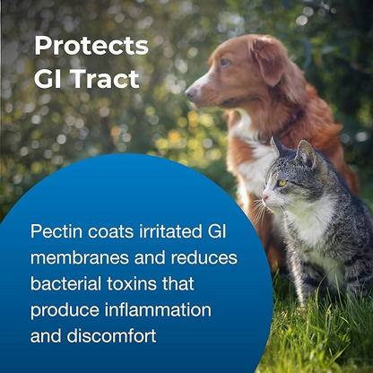 PetAg Pet Pectillin Anti-Diarrheal – 118 ml, Alivio de Diarrea para Perros y Gatos