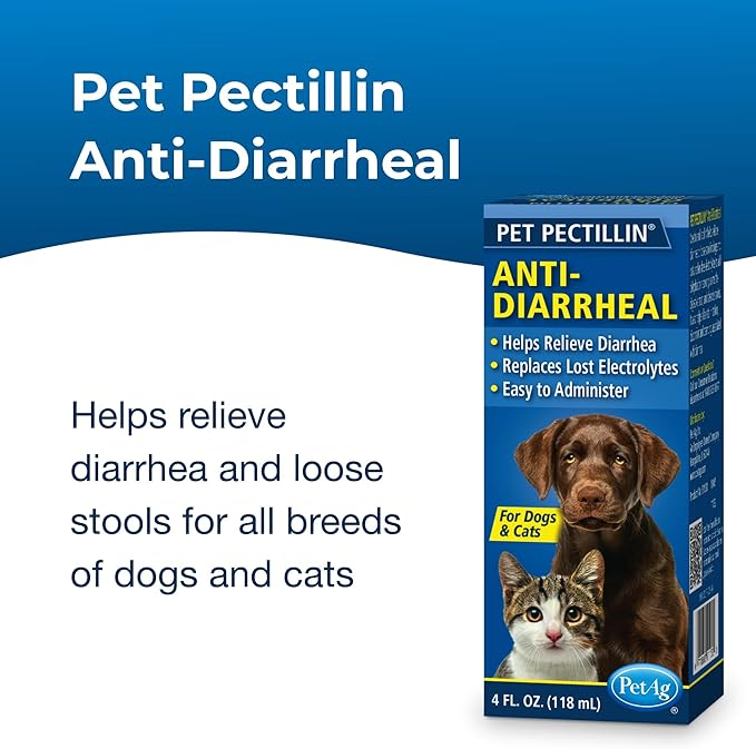 PetAg Pet Pectillin Anti-Diarrheal – 118 ml, Alivio de Diarrea para Perros y Gatos