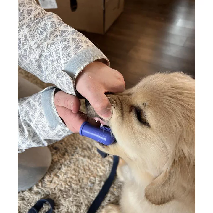 Kindfull Cepillos de Dedo para Perros y Gatos – 3 Piezas