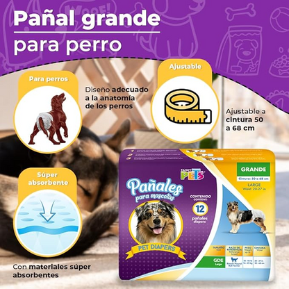 Fancy Pets Pañales Grandes para Perro – 12 Piezas, Ultra Absorbentes y Ajustables